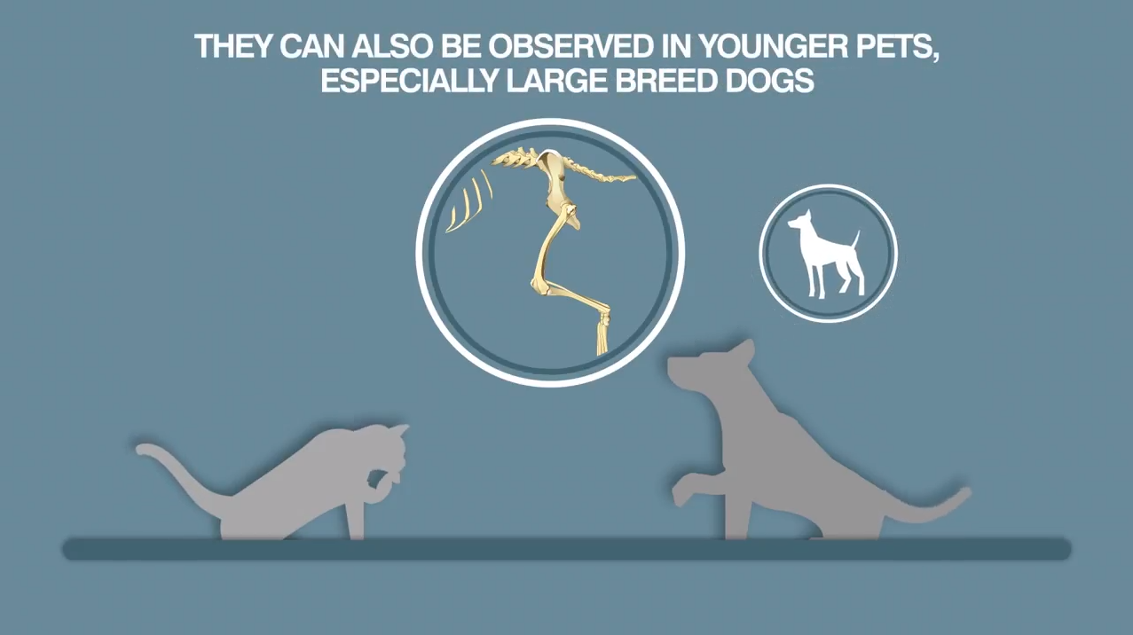 STYRKER LEDD OG MUSKLER